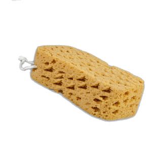 ספוג  רחצה מרובע למקלחת